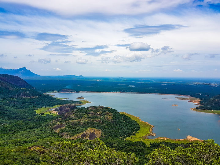 Image by Sreehari Devadas