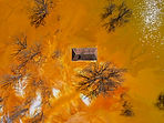 Image by iuliu illes