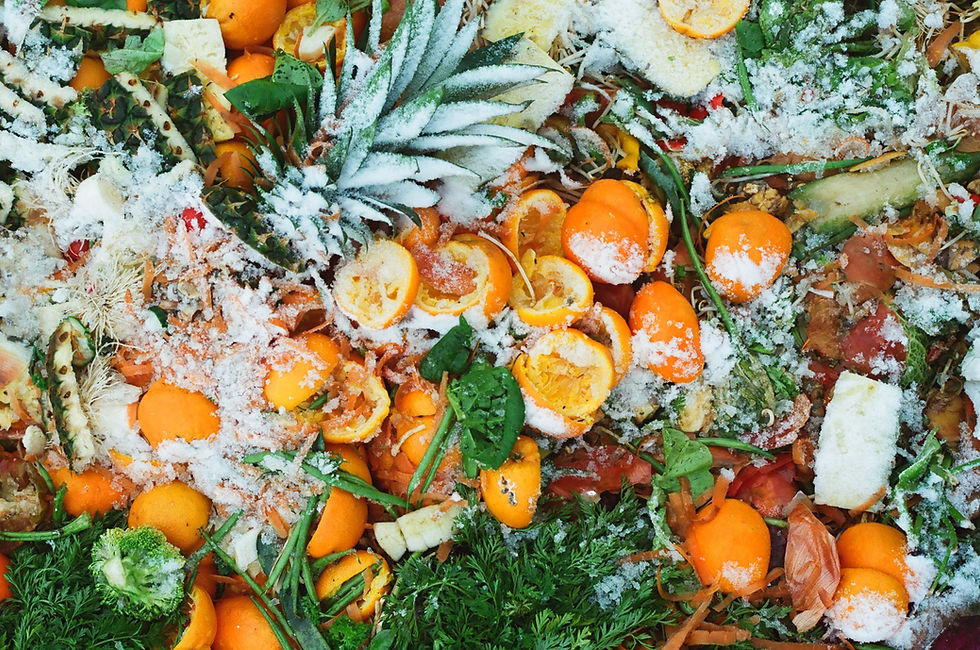 Reducing food waste at home