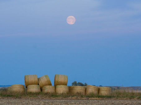 Shine on....shine on Harvest Moon