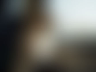 Dog in car looking out window with pet travel safety GPS device