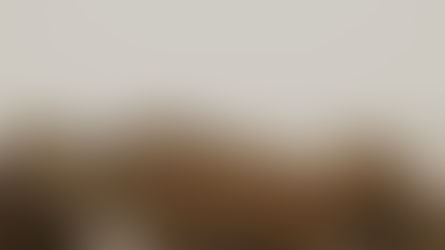 12月13日 以賽亞書49-51章「耶和華的僕人」