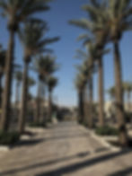 Become a Partner in Building your Home In Israel