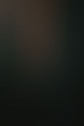 Personal Trainer Holding a Weight 