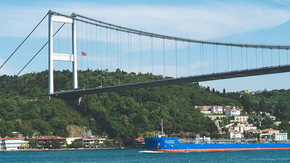 Image by Tonia Kraakman