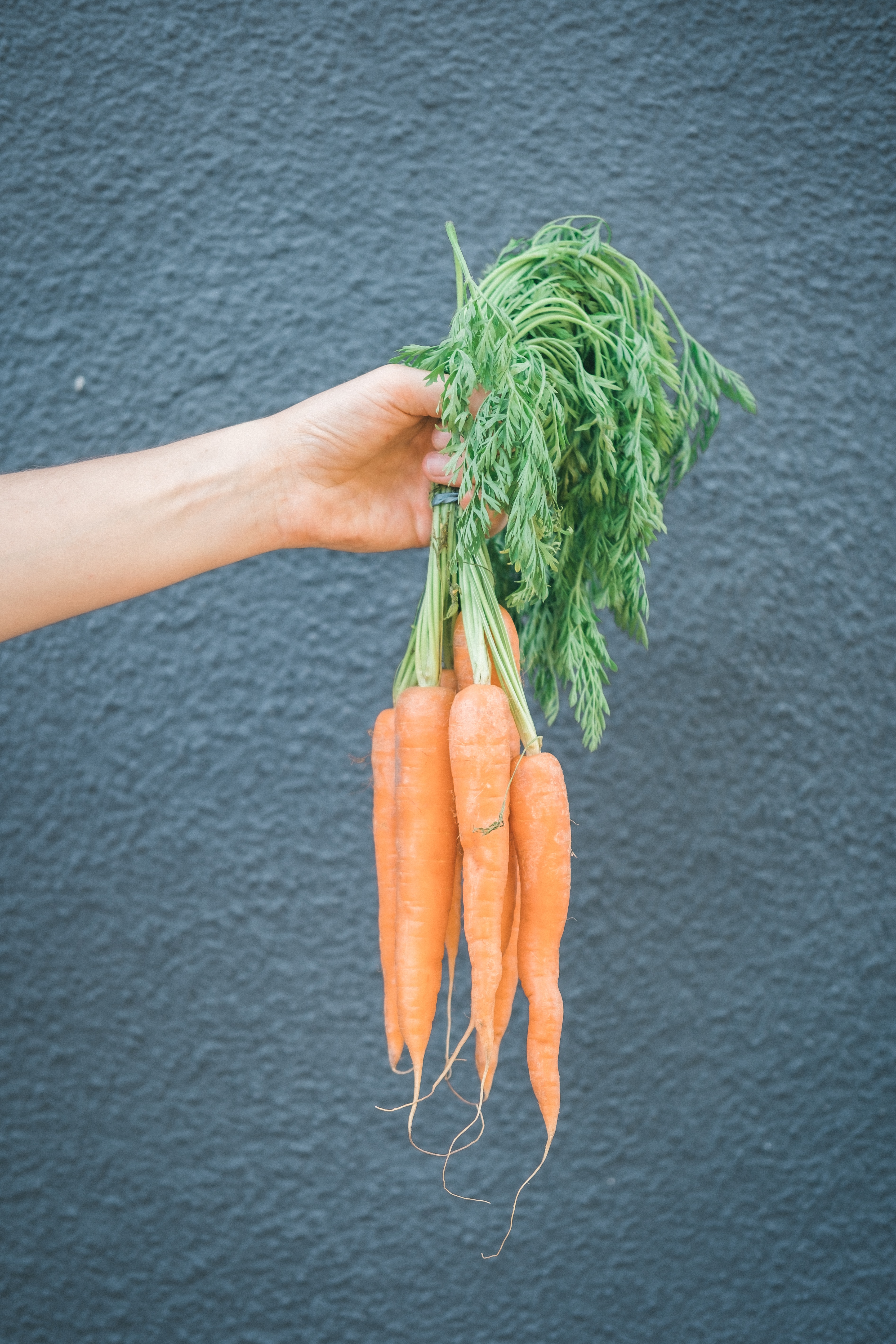 bunches of carrots