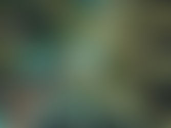 Eco-Friendly Living: Simple tips for reducing your carbon footprint