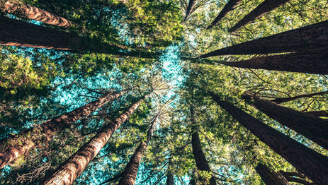 Moving in Timing with the Seasons