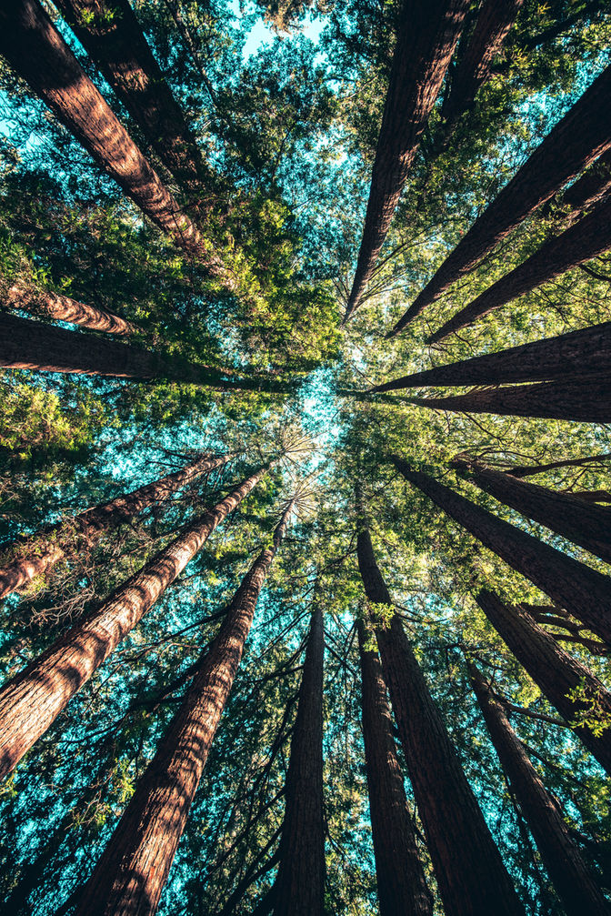 Finding the Perfect Location for Your Shoot- 6 Places you Can Consider!