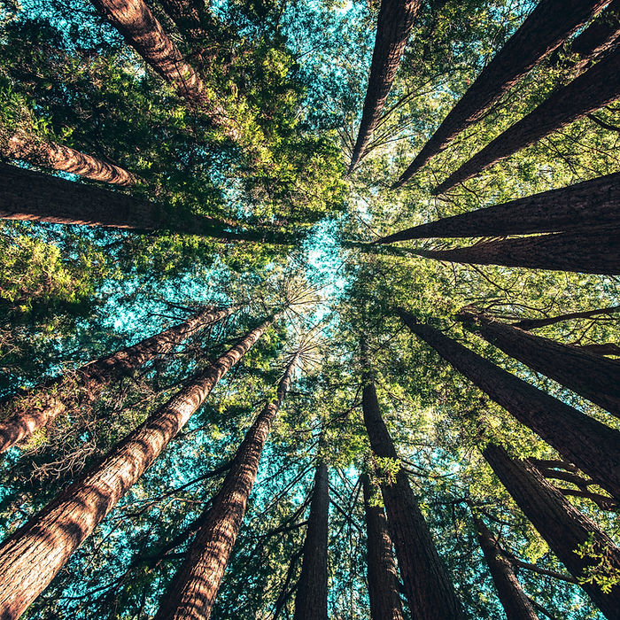 Image de Casey Horner