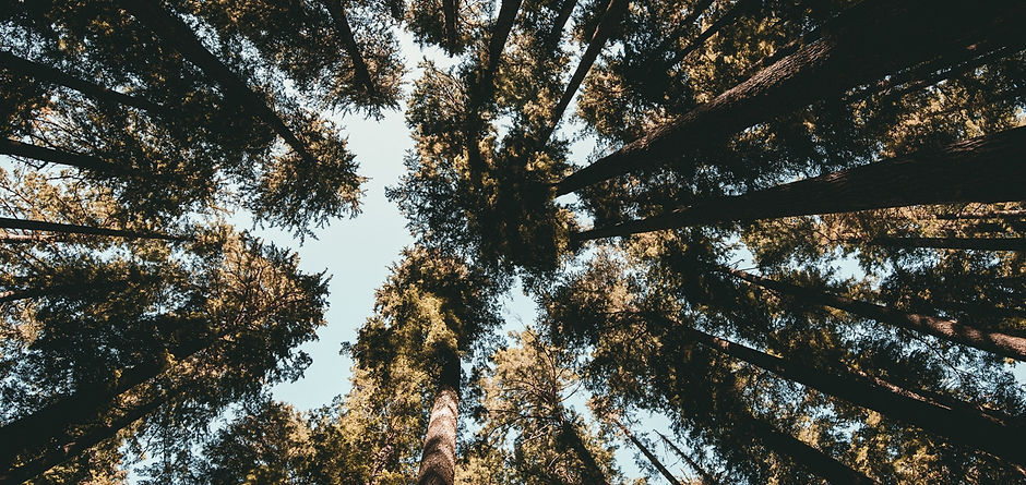 Image by KAL VISUALS