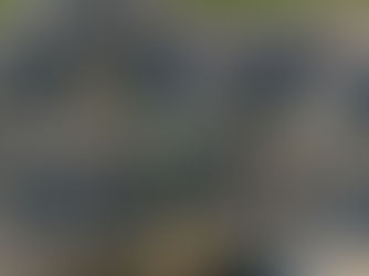 ADR Compliance Explained: What Industrial Operators Need to Know