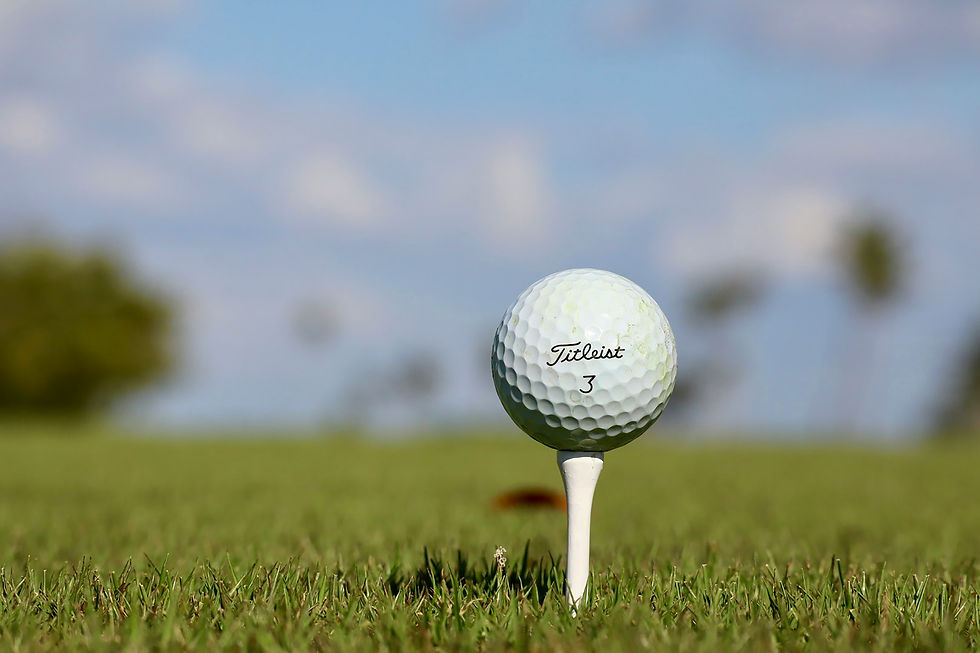Titleist golf ball on tee.