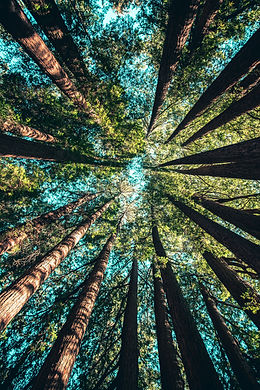 Image de Casey Horner