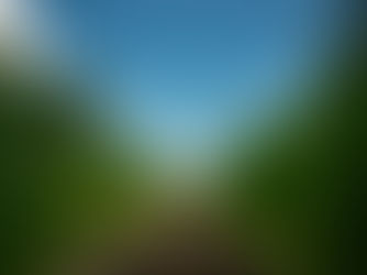 Understanding Anthem's Network Options for 2025 Plans