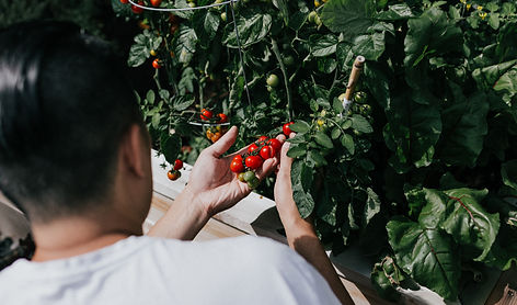 Rural PM Academy Programs Pros