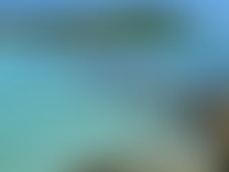 Rangiroa ou Tikehau : quel atoll des Tuamotu choisir en 2026 ?