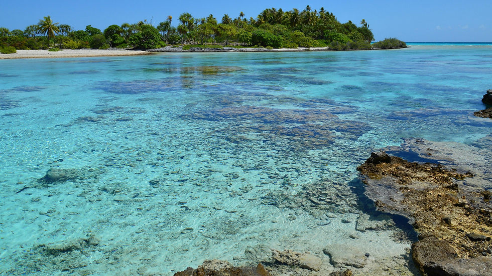 Rangiroa ou Tikehau : quel atoll des Tuamotu choisir en 2026 ?
