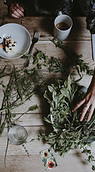 Image by Annie Spratt