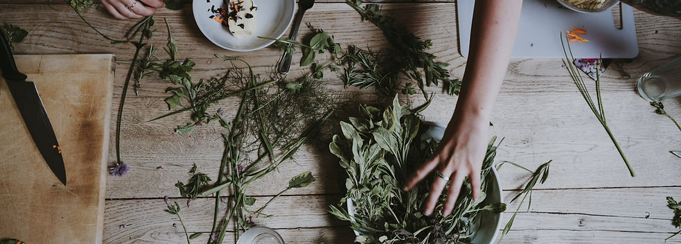 Image by Annie Spratt