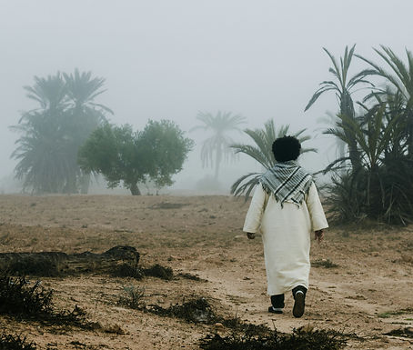 Image de Mohamed Fsili