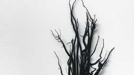 2023年4月13日 以西結書8-10章「可憎的事」