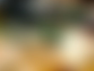 Sabores Emancipadores: Alimentar el derecho, cultivar comunidad