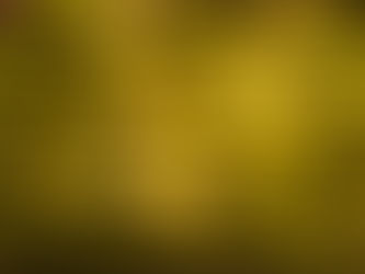 Hallan sin vida a policía auxiliar dentro de auto abandonado en Tijuana