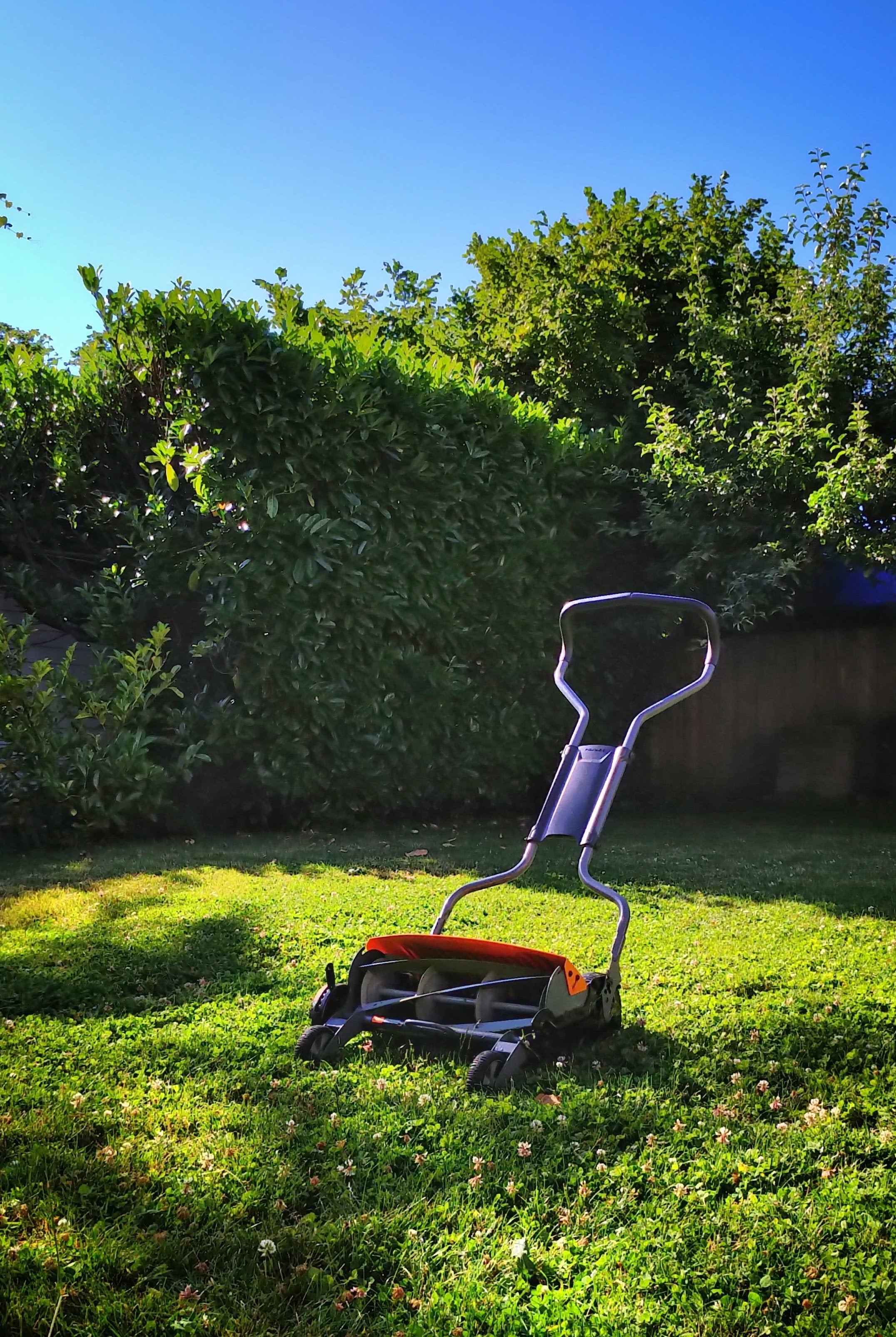 Nice cut grass with a presentable lawn mower