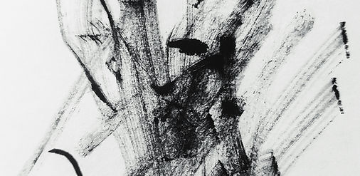 Image by Sheldon Liu