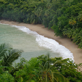 Guanacaste