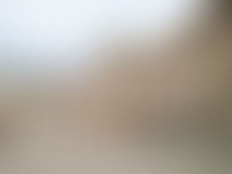 Discover These 10 Unique Destinations on the Danube