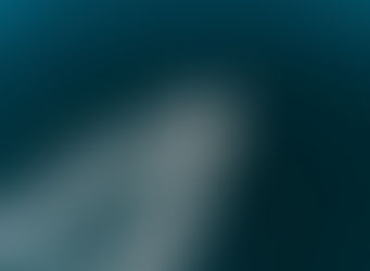 Navigating the Luxury Collectibles Market in 2025: Key Insights from 2023 for Collectors