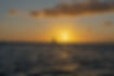 sailboat in front of ocean sunset