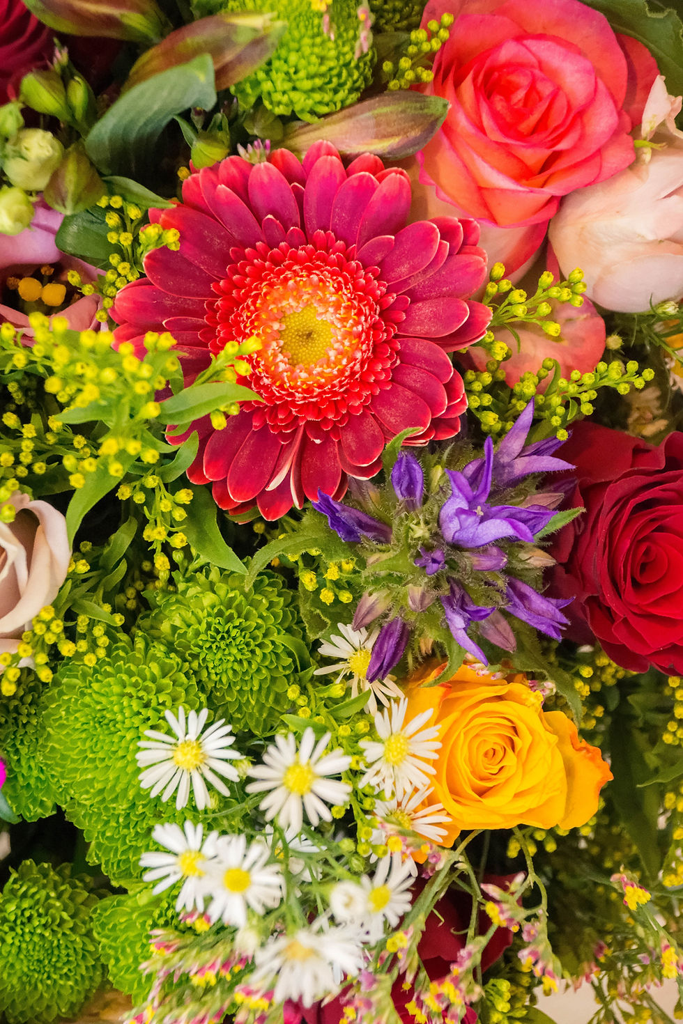 Vibrant floral bouquet with red, pink, and yellow roses, purple flowers, and green foliage. Daisies add contrast, creating a lively, cheerful scene.