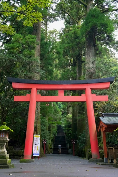 A female-presenting young person surrounded by lights, smiling and looking down at a heart made of LED lights which they are holding.