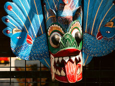 The Masks of Sri Lanka: Art, Ritual and the Healing Tradition of the South Coast