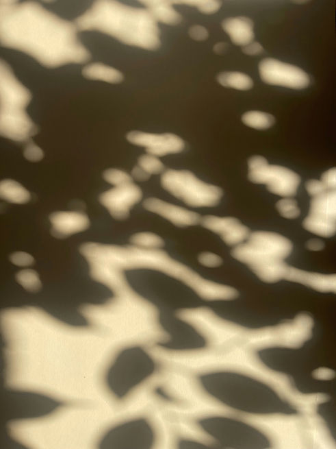 Image by Lobacheva Ina