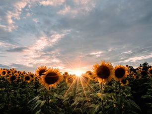 Que consommer en août ?