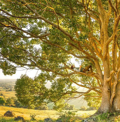 Image by Rob Mulally