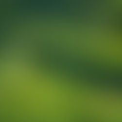 Algae blooms can quickly smoother a waterway, affecting livestock and farmland.