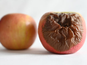 IGLECASA 12-OCTUBRE-2021