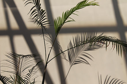 Image by Marra Sherrier