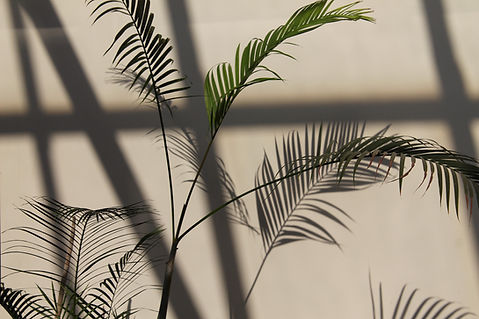 Image by Marra