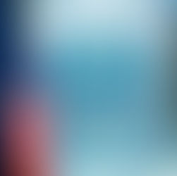 The Legality of Trump’s Executive Orders