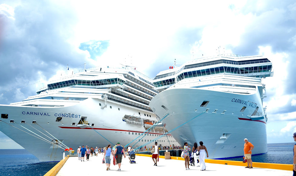 Crucero Fiesta Caribe