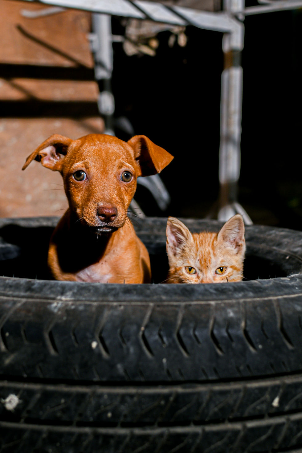 Image by Punto Fotográfico