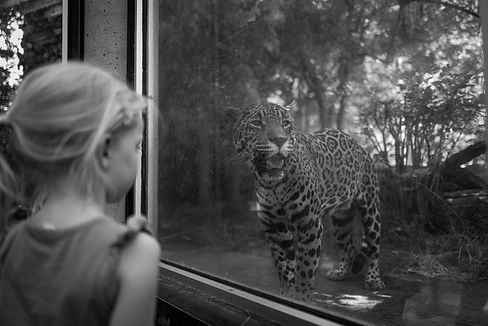 Image by David Ireland