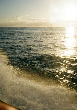 Image by Richard Stachmann