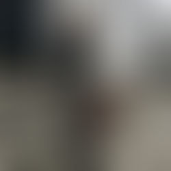 方向転換の加速がやってくる。2/2 mon. 獅子座満月